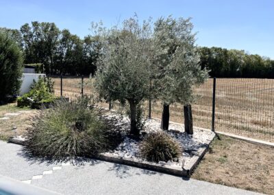 Arbres et arbustes villa Nathan